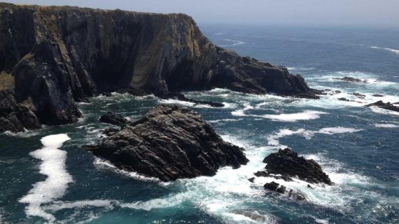 مقال عربي #1112