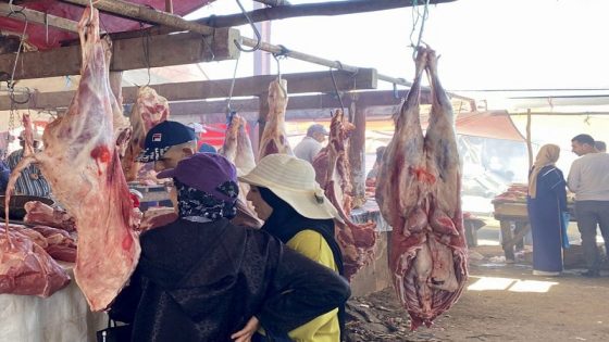 أسعار اللحوم في المغرب تواصل الارتفاع رغم وفرة المراعي والتساقطات المطرية