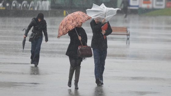 xr:d:DADw42UX86o:7383,j:7206173835745734203,t:24010412