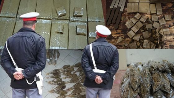 درك جزولة بآسفي يضرب بقوة شبكات المخدرات ويحجز كميات مهمة في عمليتين متتاليتين